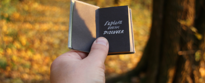 Libri di viaggiatori